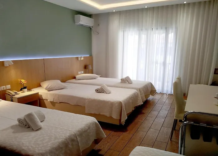 Guest house Athos Pansion 4*